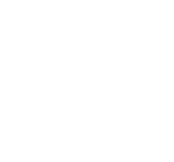 vosb_white
